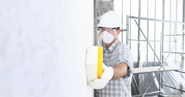 Mold Remediation for Rental Properties in Valley Forge, TN