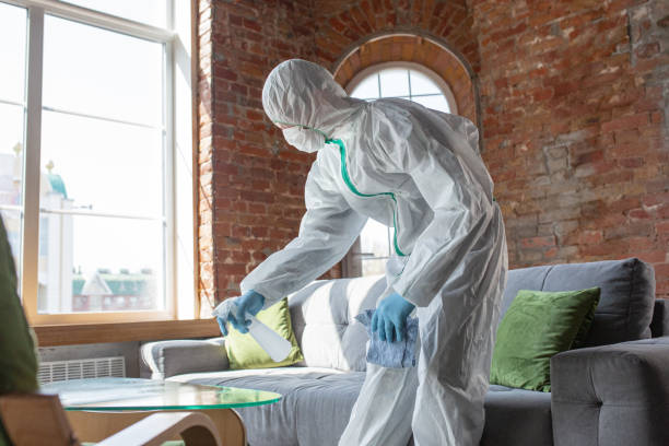 Professional Mold Removal & Remediation in Valley Forge, TN